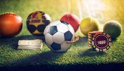 Laser247 Signup, Laser247, Laser247 Online,