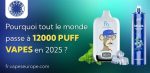 puff 12000 taff