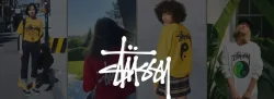 stussy banner